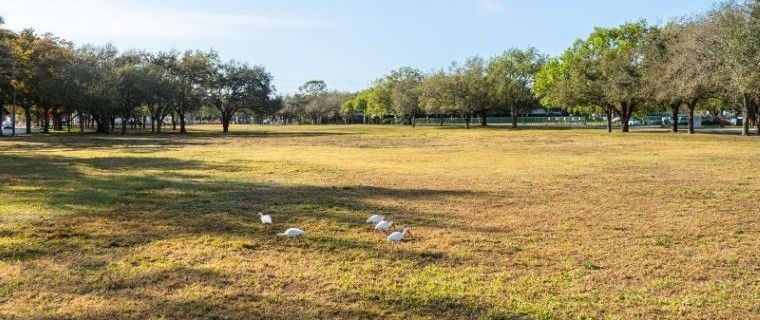 Granada Land Park_Photo Credit Brian Mulvey Photo Editor 760x320